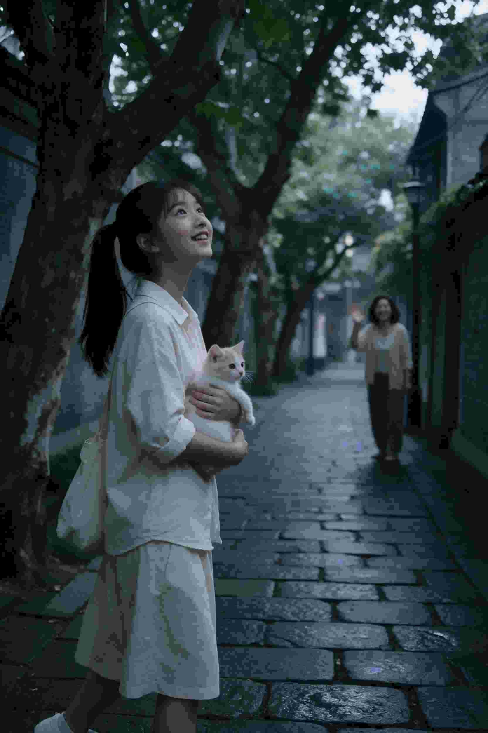 总裁的替身妻