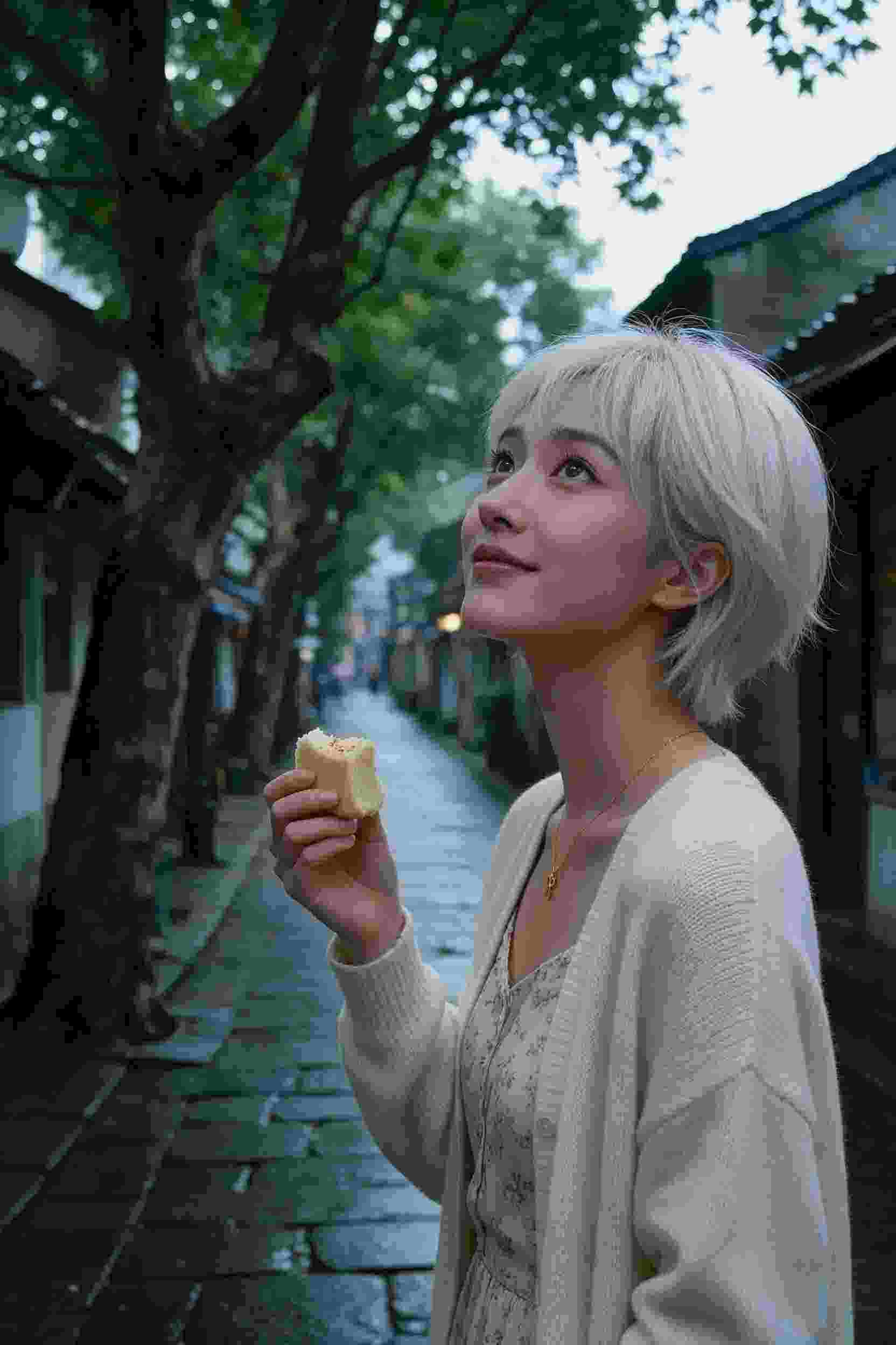 王子的双重身份